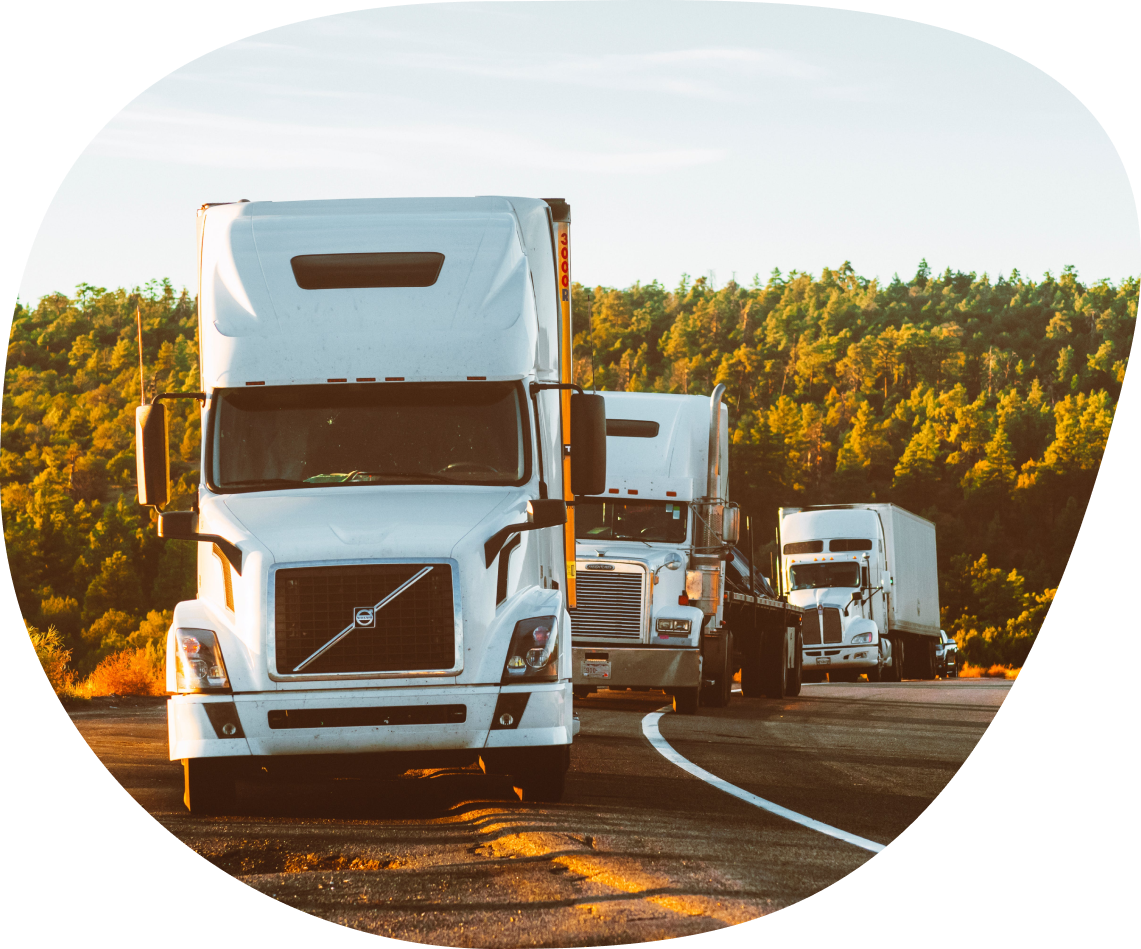 Nemzetközi hulladékszállítási engedélyek